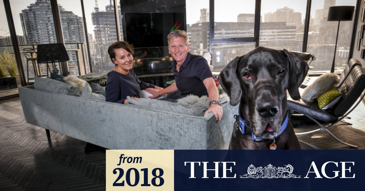 Who says you can't keep a Great Dane in a city apartment?